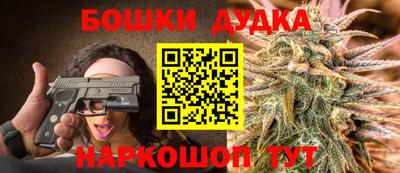молекула духа Лесосибирск