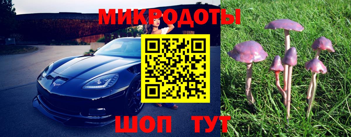 Псилоцибиновые грибы MAGIC MUSHROOMS  Вход с VPN  Златоуст  Галлюциногенные грибы прущие грибы 